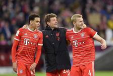 划提供了可 划提供了可